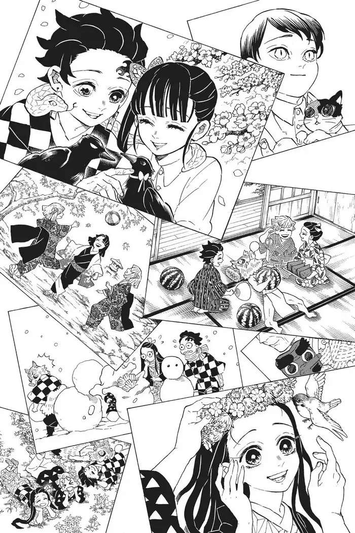 Demon Slayer Chapter 205 image 34_optimized
